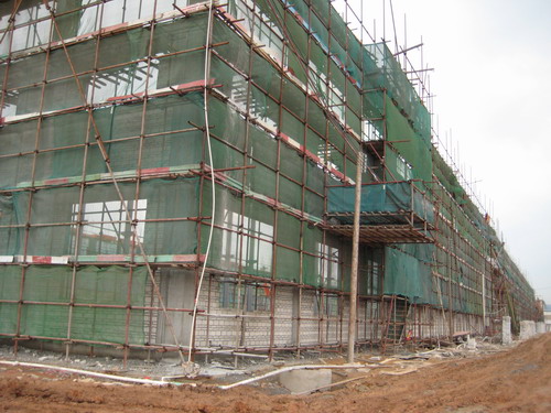 虎年德赢VWIN开胜景,新厂建设喜人心